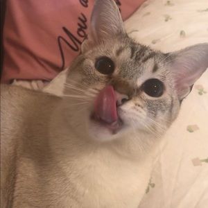 Meet your Posher, Rainie